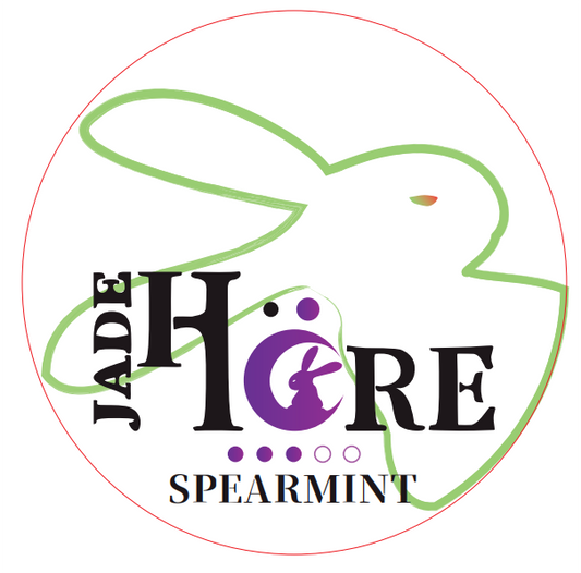 Flavor Pouches - Spearmint